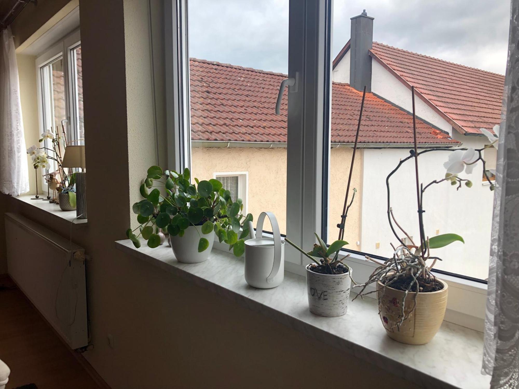 Ferienwohnung Am Gruenen Band Hellingen Exteriér fotografie