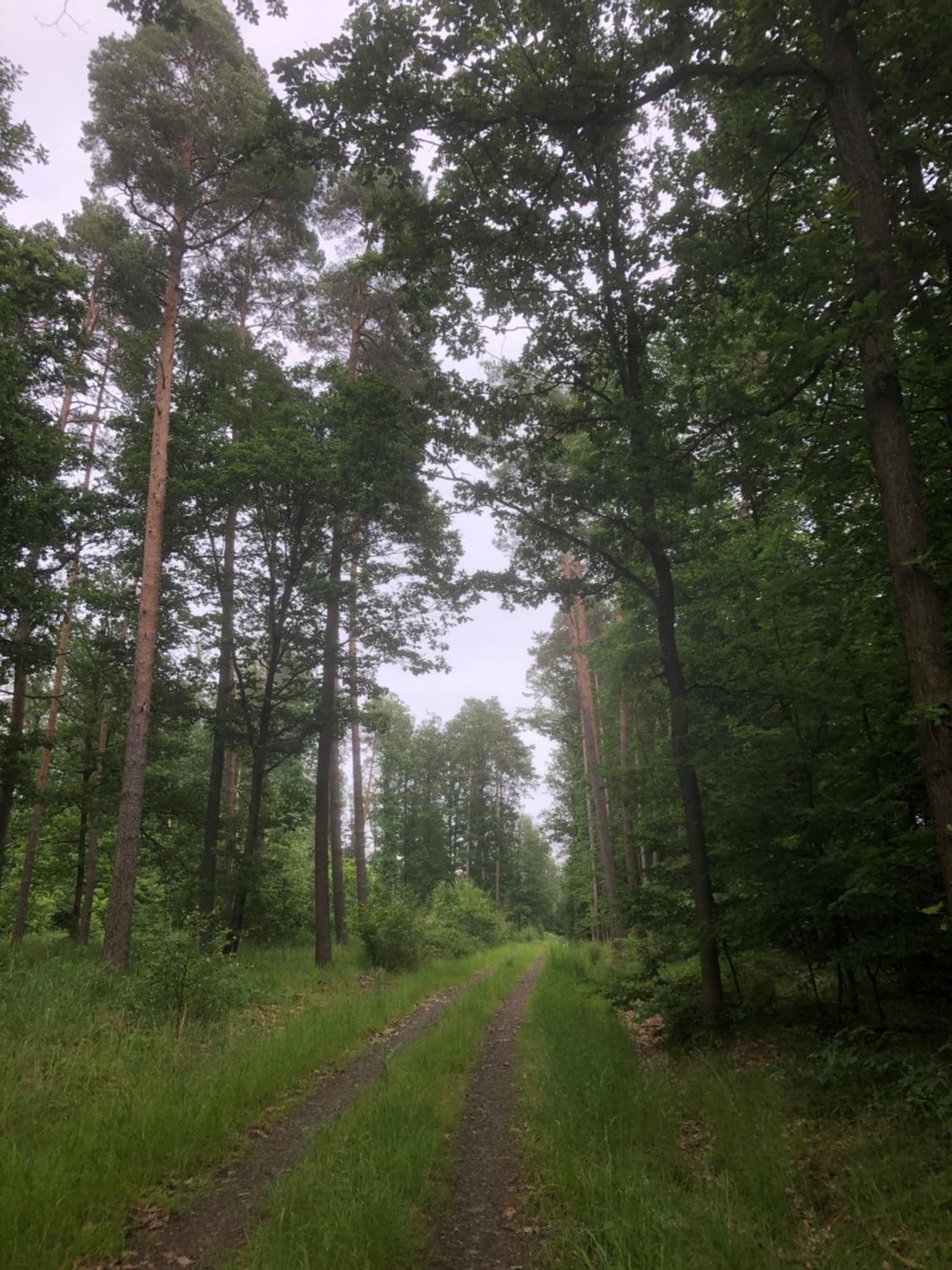Ferienwohnung Am Gruenen Band Hellingen Exteriér fotografie