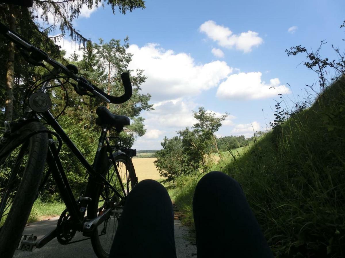 Ferienwohnung Am Gruenen Band Hellingen Exteriér fotografie